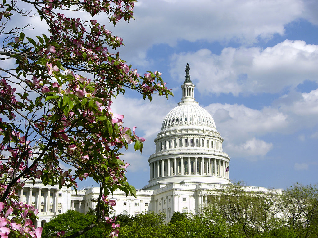 Latest From The States: Payroll Provisions in U.S. Appropriations Law and More - Capitol building and blossoming tree DC in the Spring, new US legislation impacting payroll and tax liabilities
