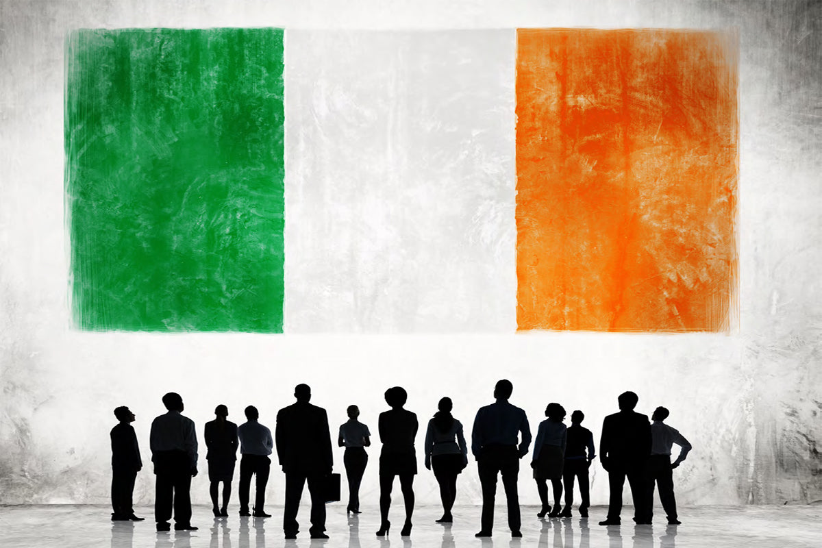The changing Irish workforce