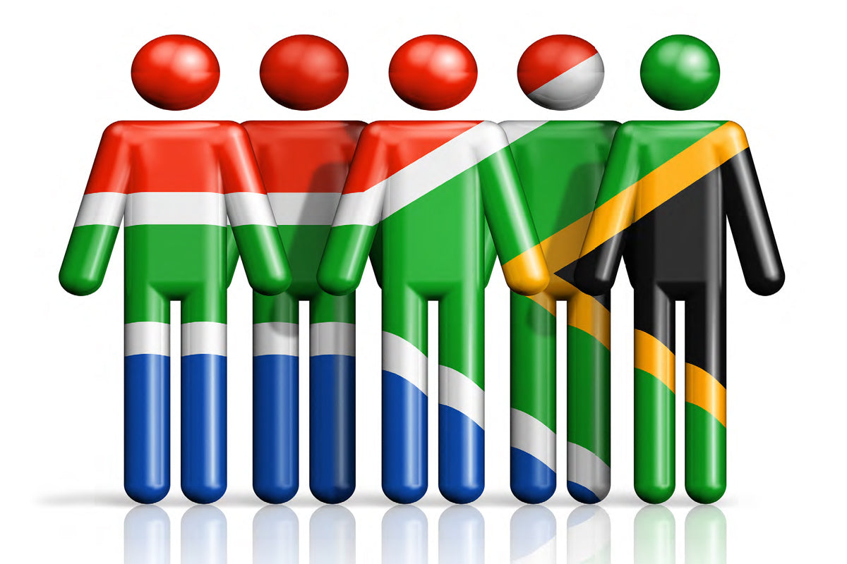 How important is it for South African payroll professionals to collec tdemographic data?