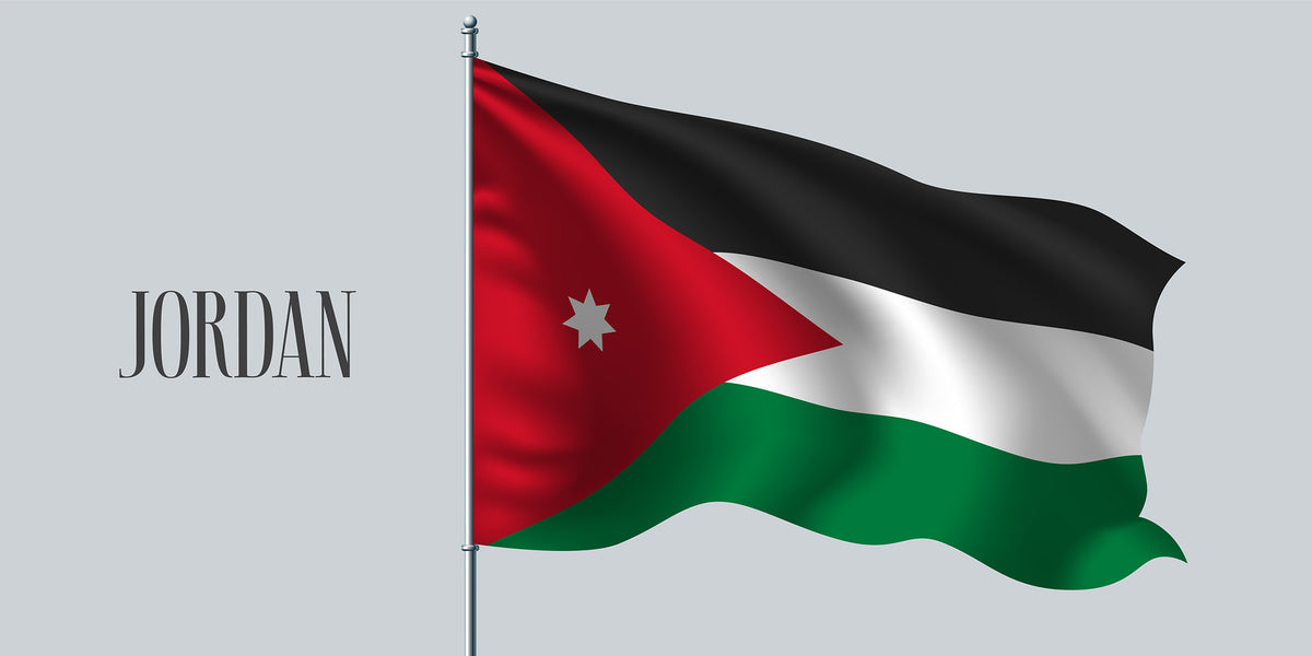 Jordanians strike over draft income tax law
