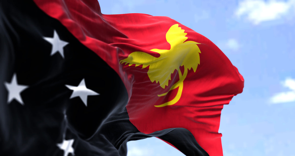 [Papua New Guinea] Payroll review would save millions