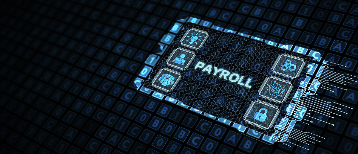 [Egypt] Payroll system for administrative authorities to be digitalised by end of year