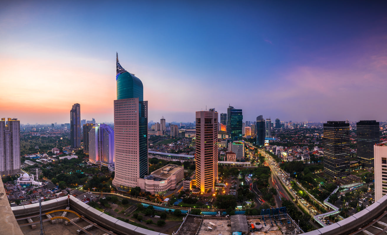 [Indonesia] Economists advise policy reform to attract FDI